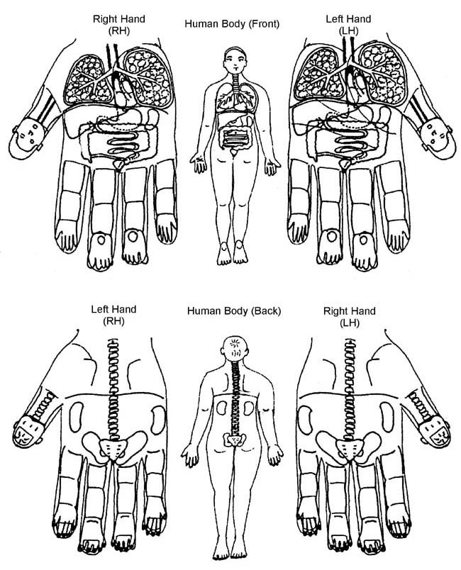 Ayurvedic Acupressure Treatment Chart