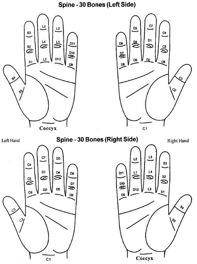 Ayurvedic Acupressure Treatment Chart