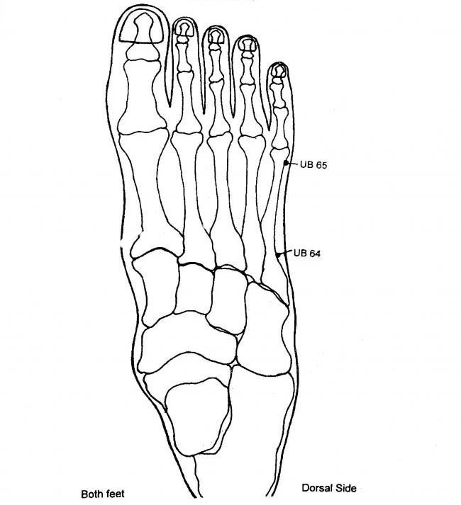 Electro Acupuncture According To Voll Figures : Acupressure Research ...